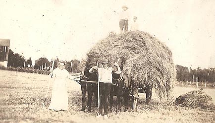 Roy · Swedish Documents