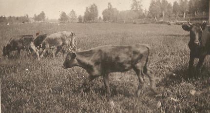 Karl · Swedish Documents