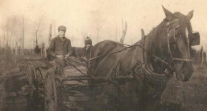 Roy · Swedish Documents