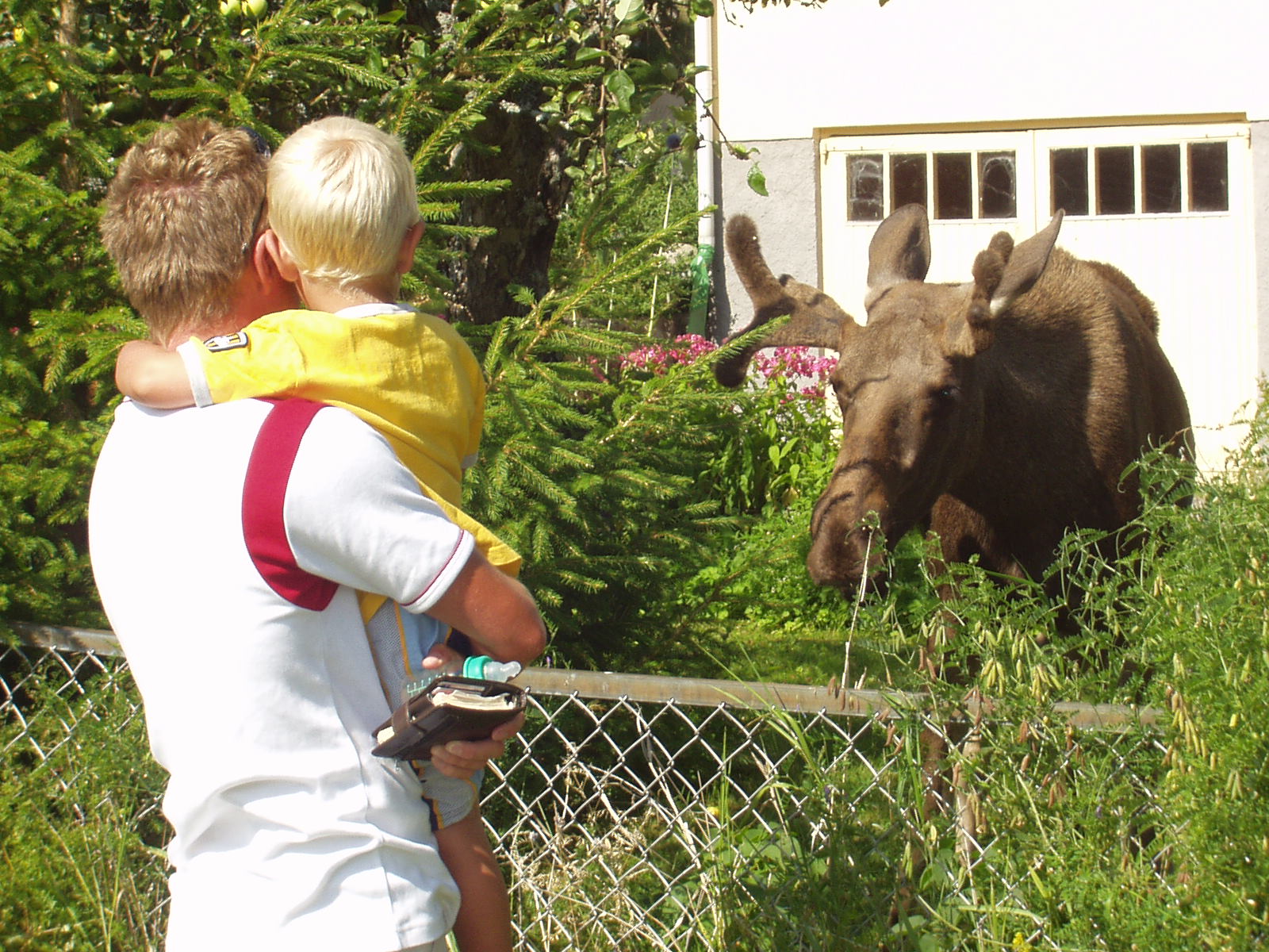 Sweden · The Nye Family