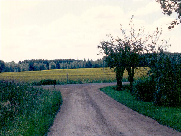 Aspelund, Bo Parish, Sweden · The Nye Family