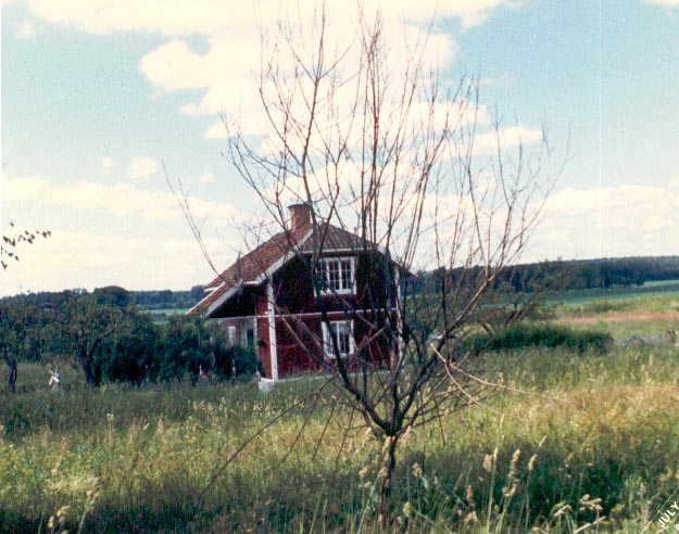 Aspelund, Bo Parish, Sweden · The Nye Family