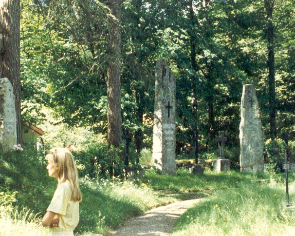 Aspelund, Bo Parish, Sweden · The Nye Family