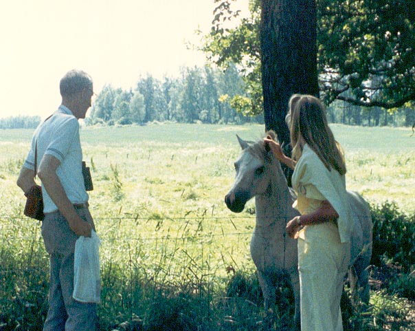 Aspelund, Bo Parish, Sweden · The Nye Family