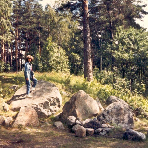Aspelund, Bo Parish, Sweden · The Nye Family
